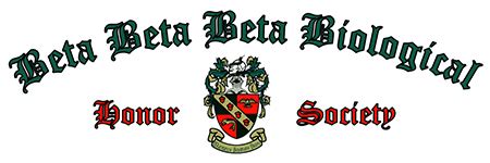 betaobet|Betão .